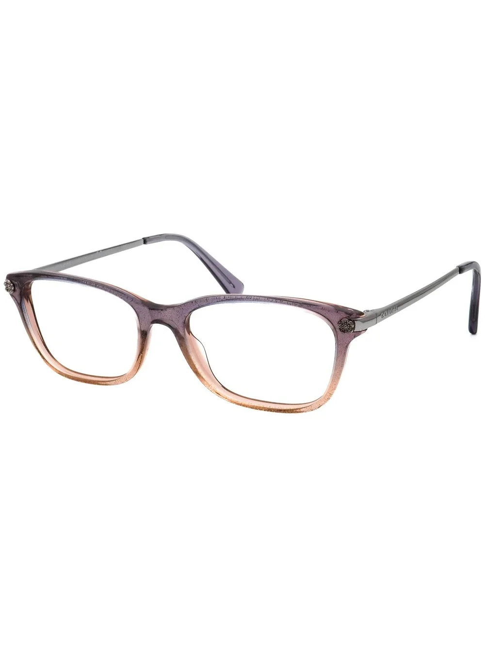 Coach HC 6142 5554 Eyewear